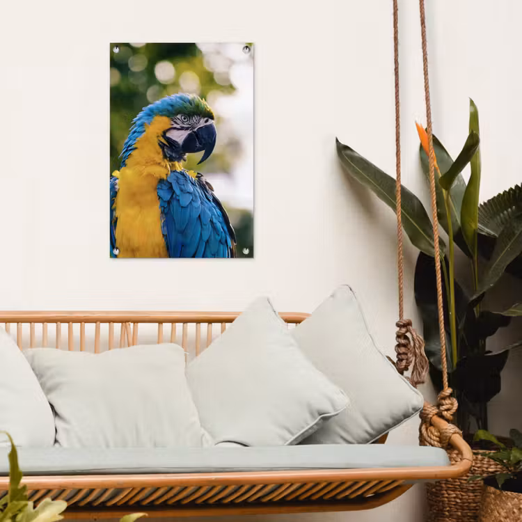 Tuinposter - Vogel - Papegaai - Ara — 4