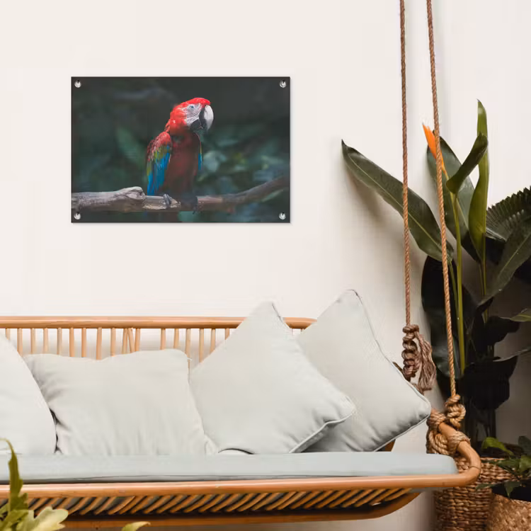 Tuinposter - Vogel - Papegaai - Ara — 4
