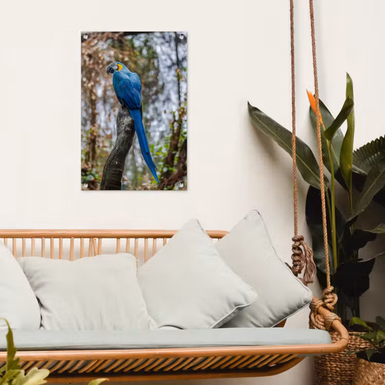 Tuinposter - Vogel - Papegaai - Blauw — 4