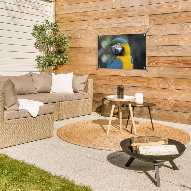 Tuinposter - Vogel - Papegaai - Blauw — 3