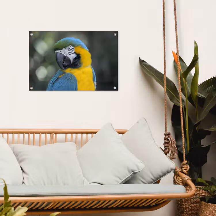 Tuinposter - Vogel - Papegaai - Blauw — 4