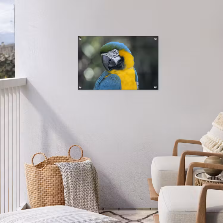 Tuinposter - Vogel - Papegaai - Blauw — 5