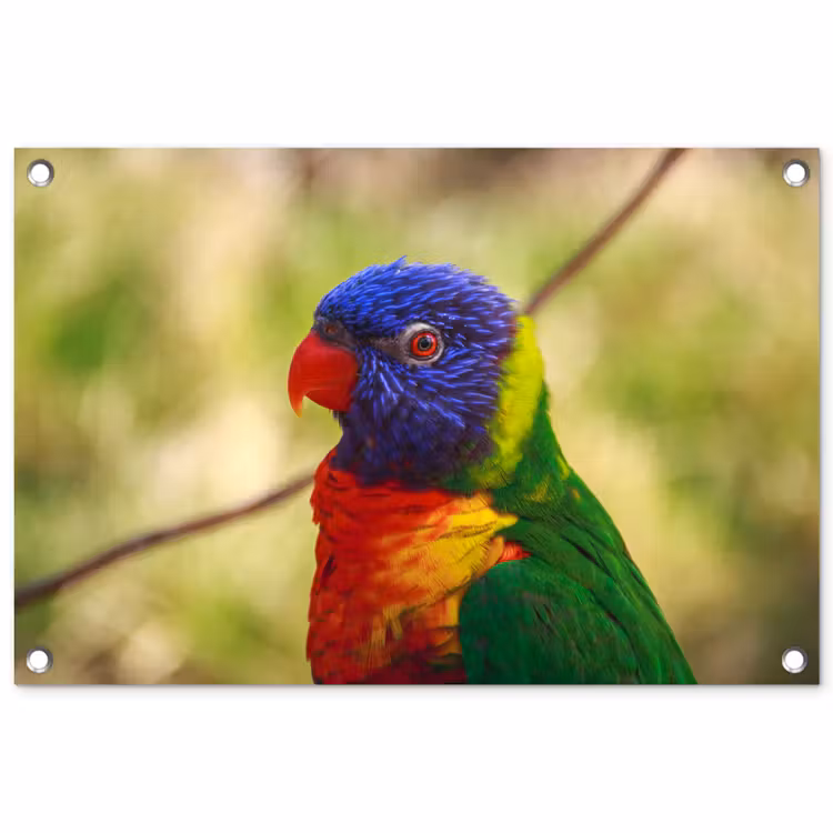 Tuinposter - Vogel - Parkiet - Blauw — 1
