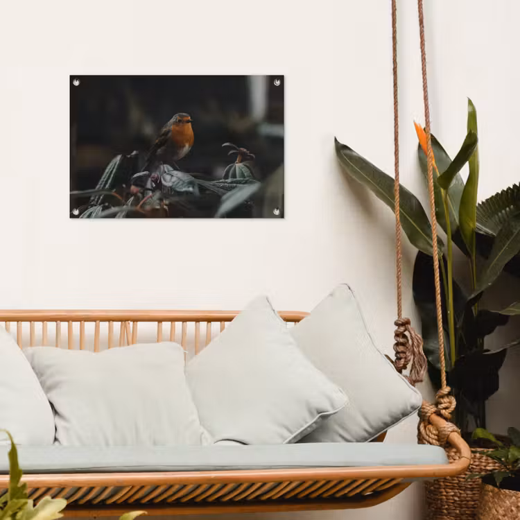 Tuinposter - Vogel - Roodborstje - Plant — 4