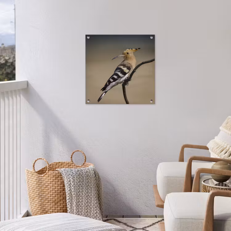 Tuinposter - Vogel - Tropisch - Natuur — 5