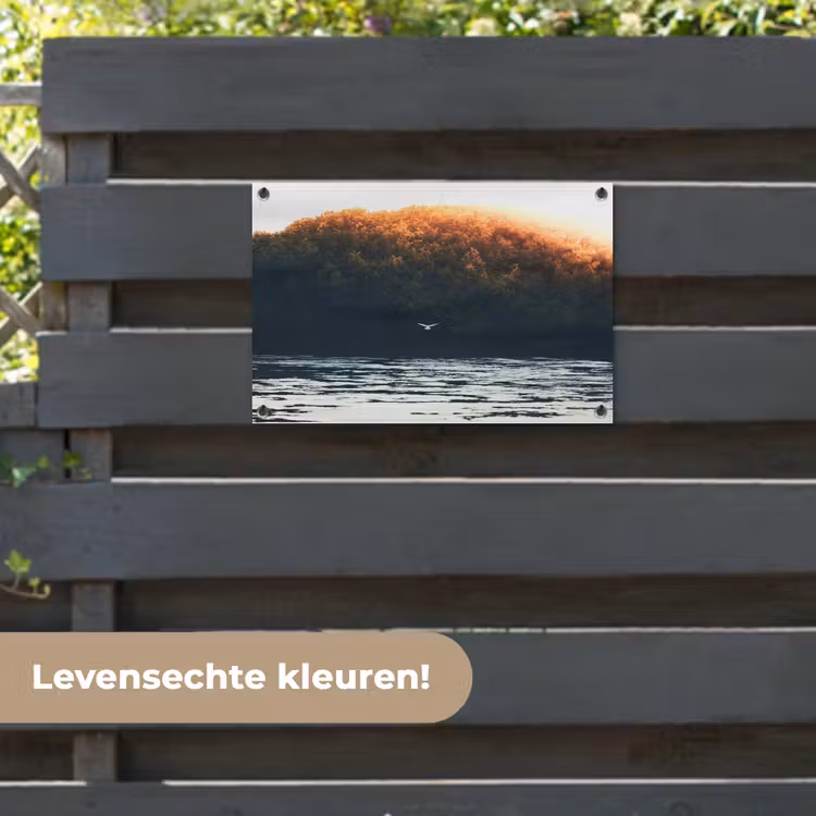 Tuinposter - Vogel - Boom - Water — 6