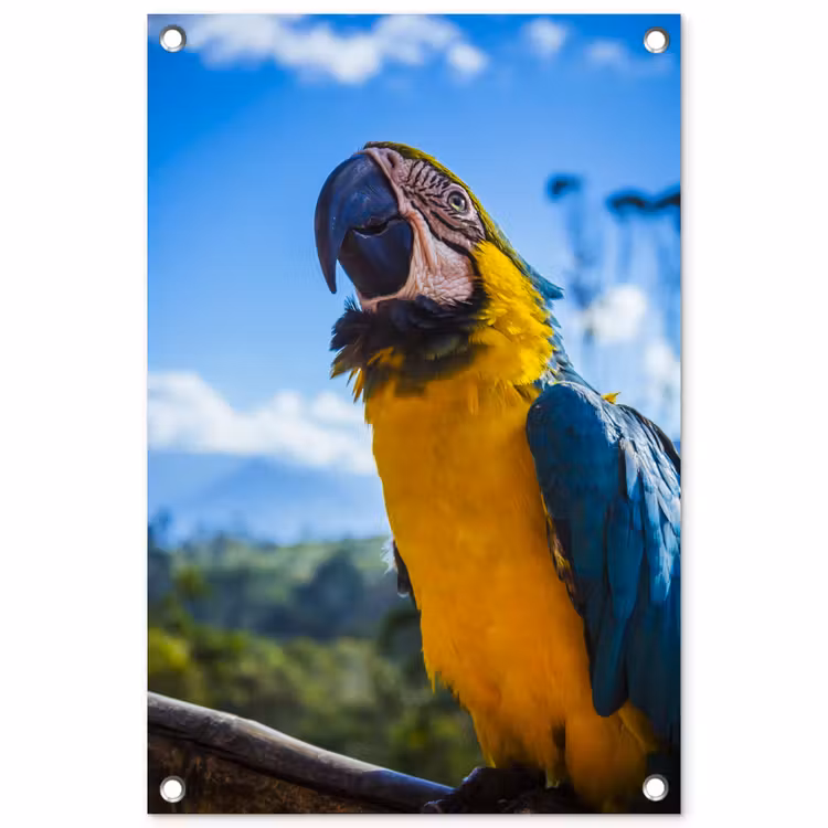 Tuinposter - Vogel - Papegaai - Geel — 1