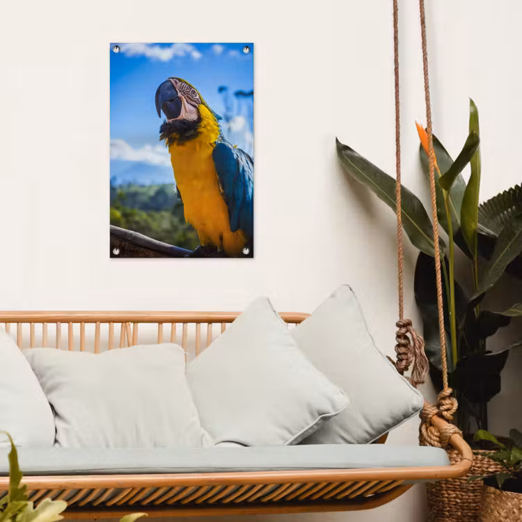 Tuinposter - Vogel - Papegaai - Geel — 4
