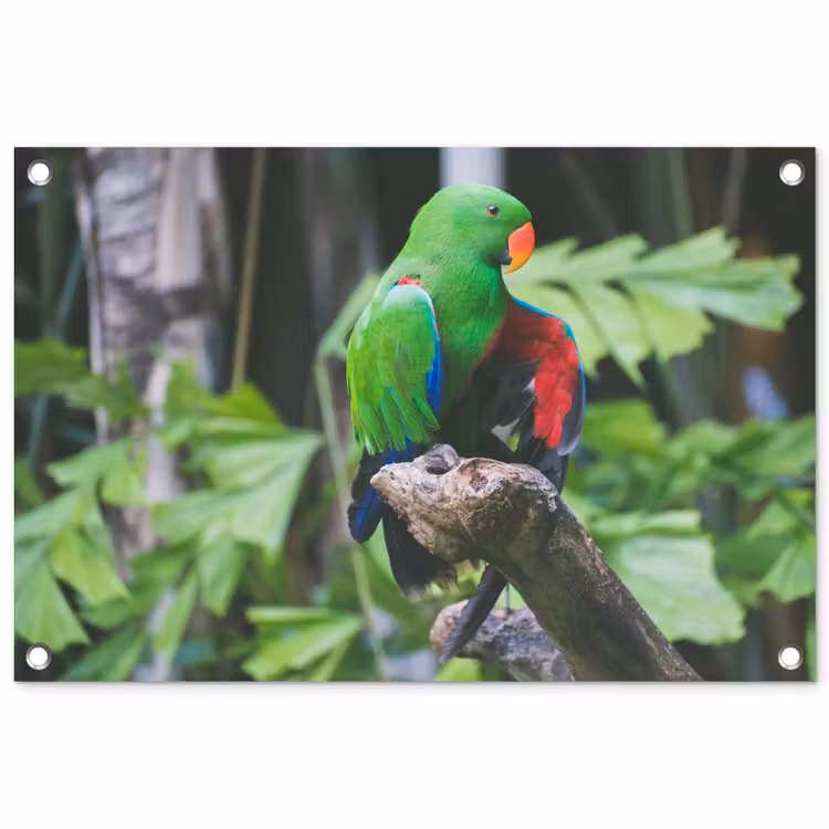 Tuinposter - Vogel - Papegaai - Groen — 1