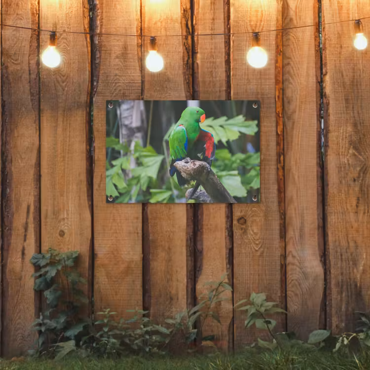 Tuinposter - Vogel - Papegaai - Groen — 2