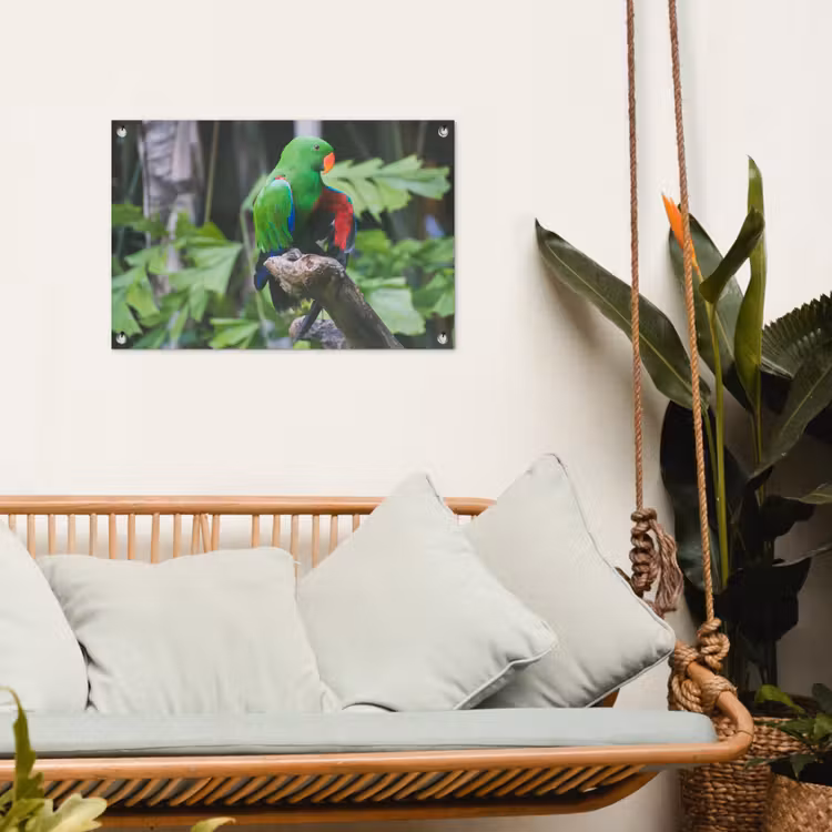 Tuinposter - Vogel - Papegaai - Groen — 4