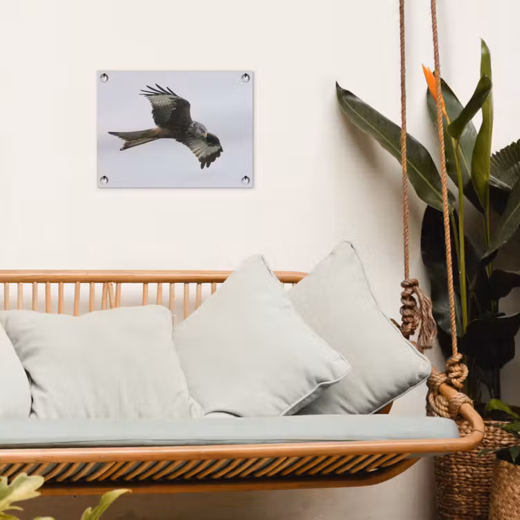 Tuinposter - Vogel - Roofvogel - Vliegen — 4