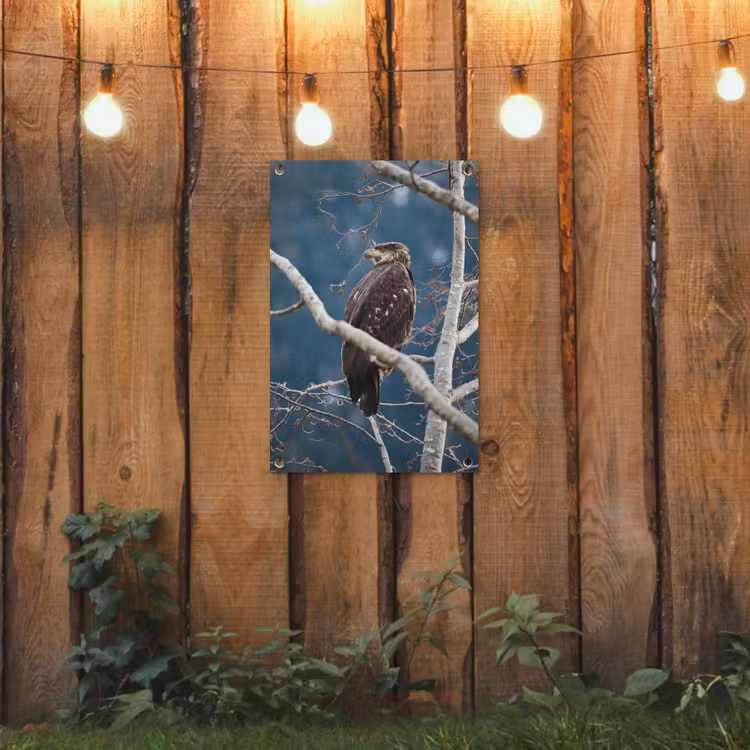 Tuinposter - Vogel - Tak - Roofvogel — 2