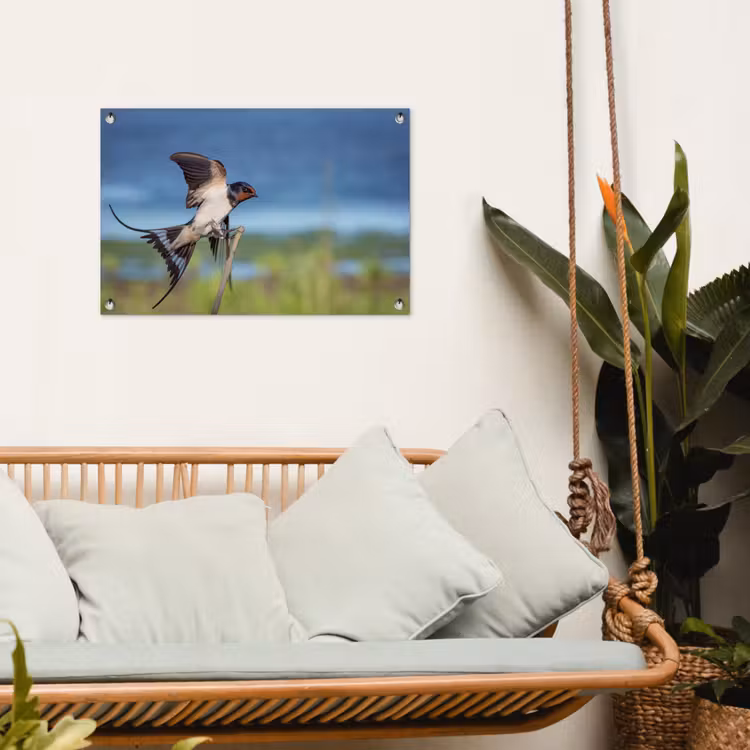 Tuinposter - Vogel - Zwaluw - Vliegen — 4