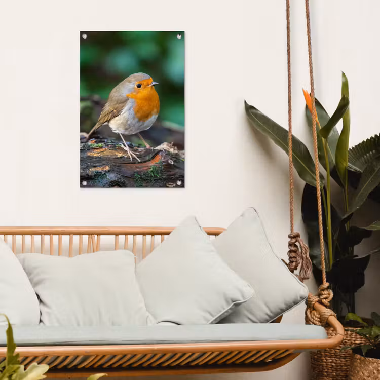 Tuinposter - Roodborstje op een Boomstam — 4