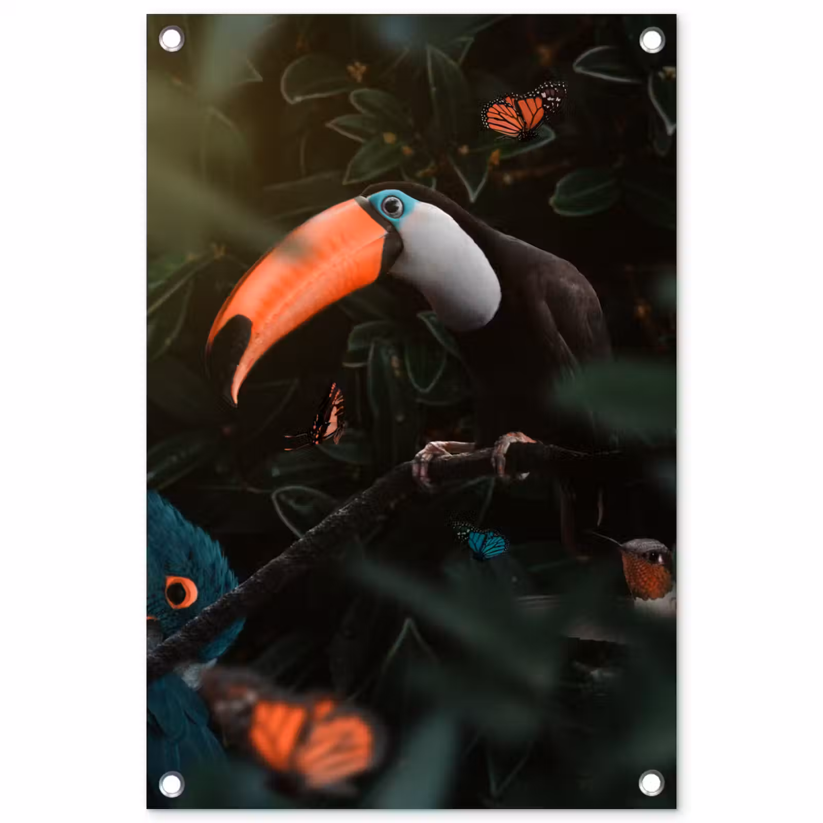 Tuinposter - Toekan - Vogel - Vlinder — 1
