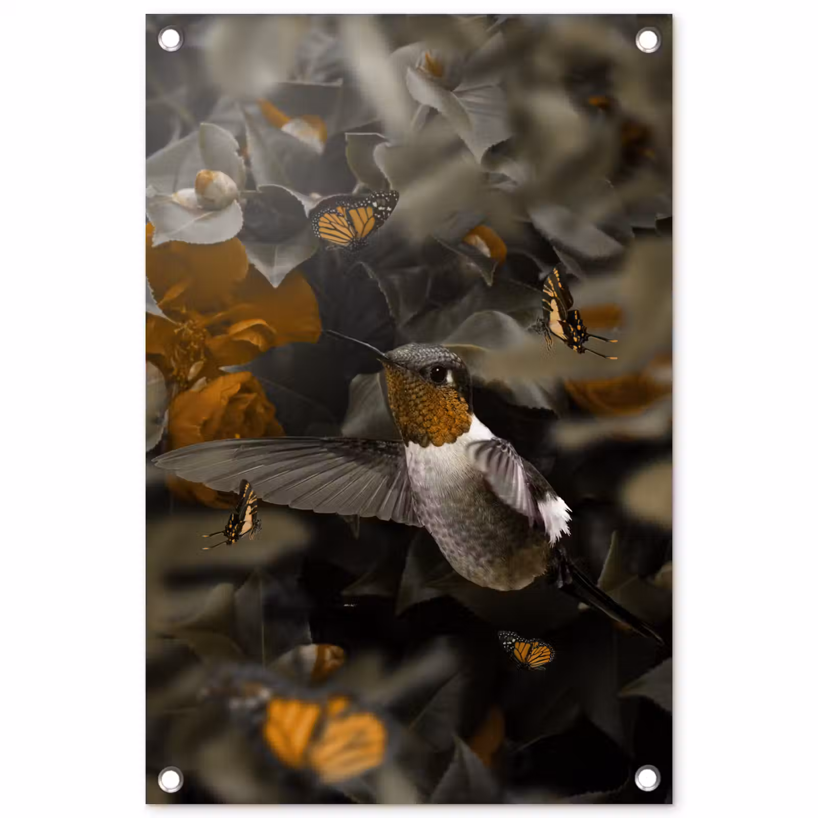 Tuinposter - Vogel - Kolibrie - Goud — 1