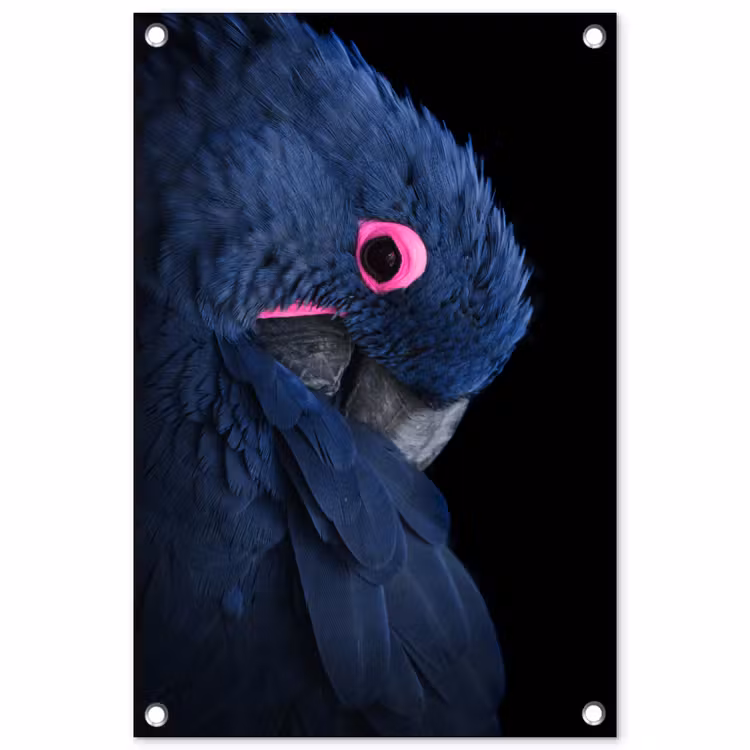 Tuinposter - Papegaai - Vogel - Blauw — 1
