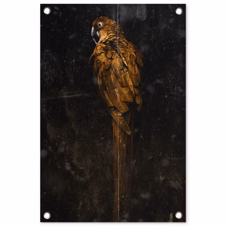 Tuinposter - Papegaai - Vogel - Foto — 1