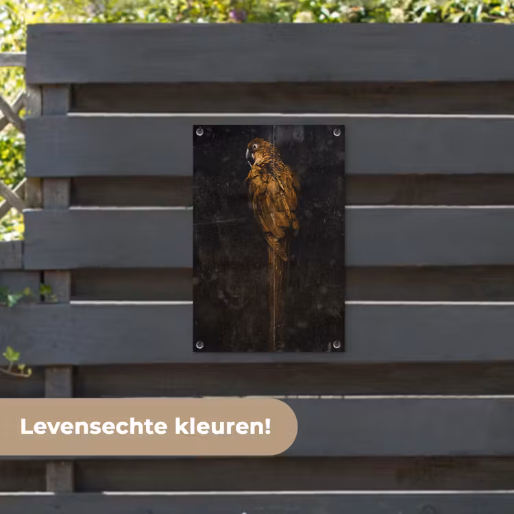 Tuinposter - Papegaai - Vogel - Foto — 6