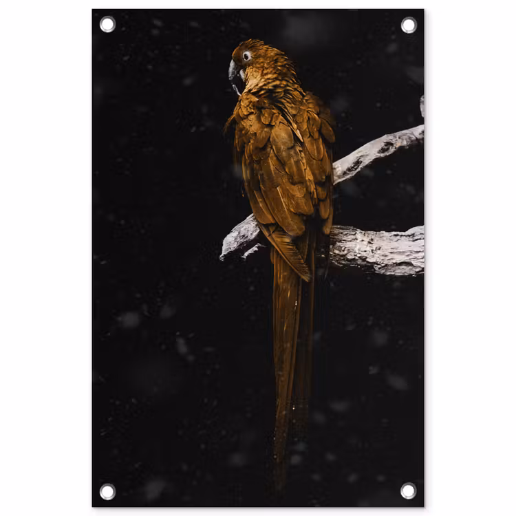 Tuinposter - Papegaai - Vogel - Goud — 1