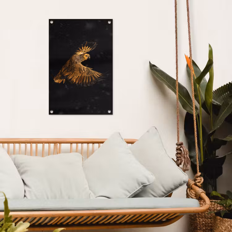 Tuinposter - Papegaai - Vogel - Oranje — 4