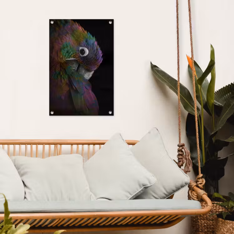 Tuinposter - Papegaai - Vogel - Regenboog — 4