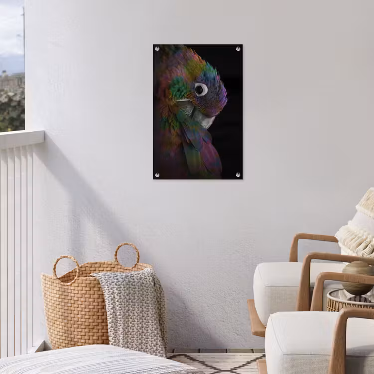 Tuinposter - Papegaai - Vogel - Regenboog — 5