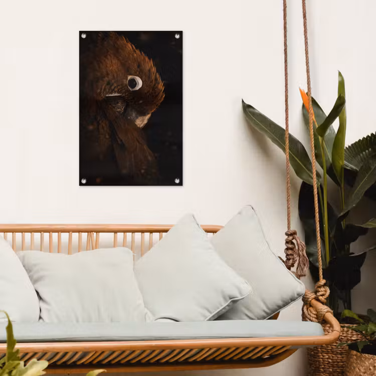 Tuinposter - Papegaai - Vogel - Veren — 4