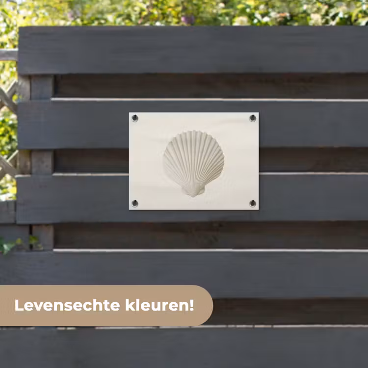 Tuinposter - Schelp - Minimalistisch - Wit — 6