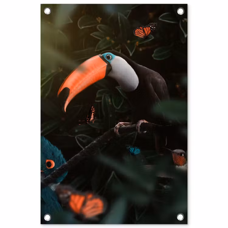 Tuinposter - Toekan - Vogel - Vlinder — 1