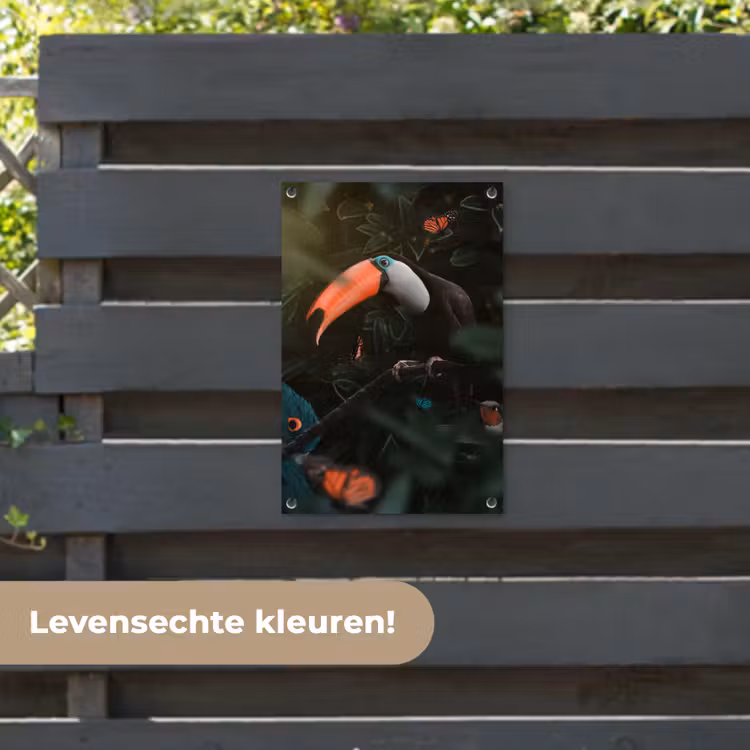 Tuinposter - Toekan - Vogel - Vlinder — 6