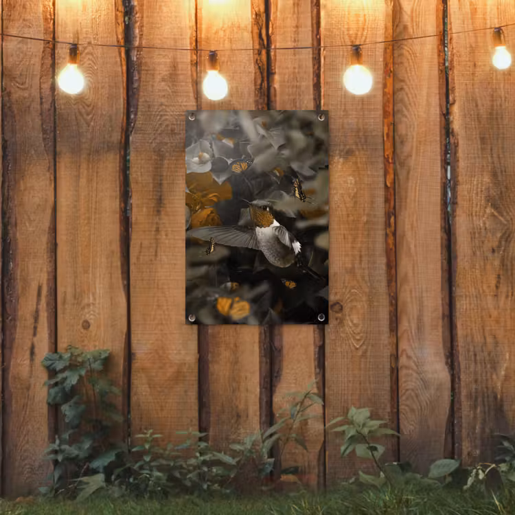 Tuinposter - Vogel - Kolibrie - Goud — 3