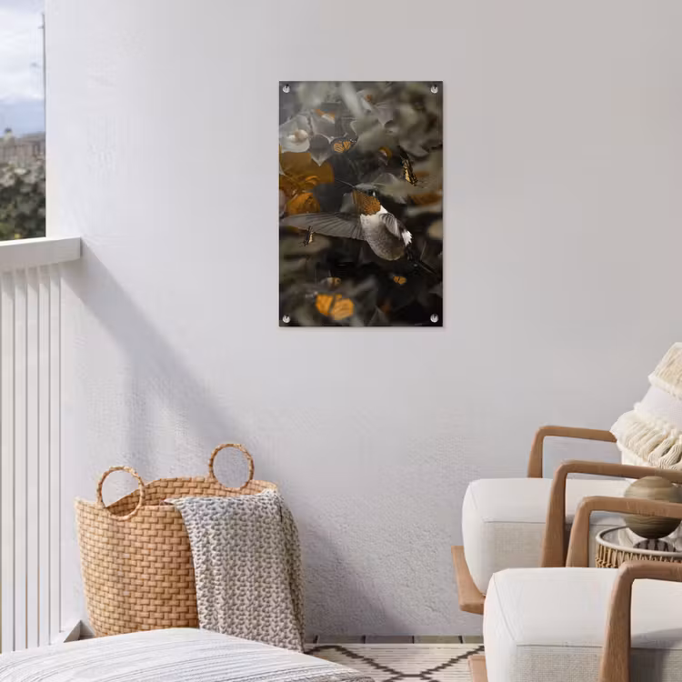Tuinposter - Vogel - Kolibrie - Goud — 5