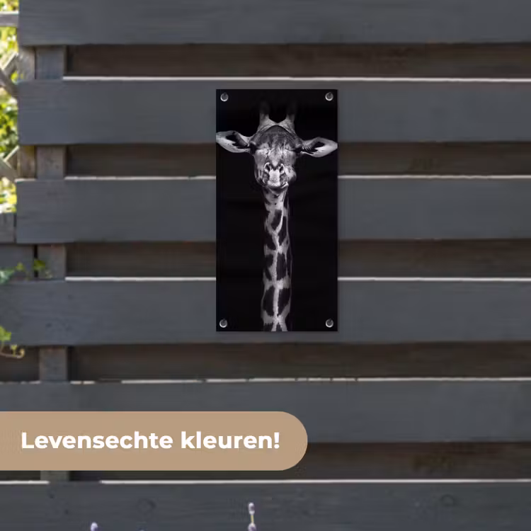 Tuinposter - Zwart-wit portret van een giraffe — 6