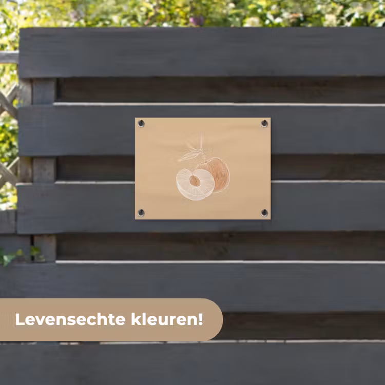 Tuinposter - Perzik - Lijntekening - Pit - Beige — 6