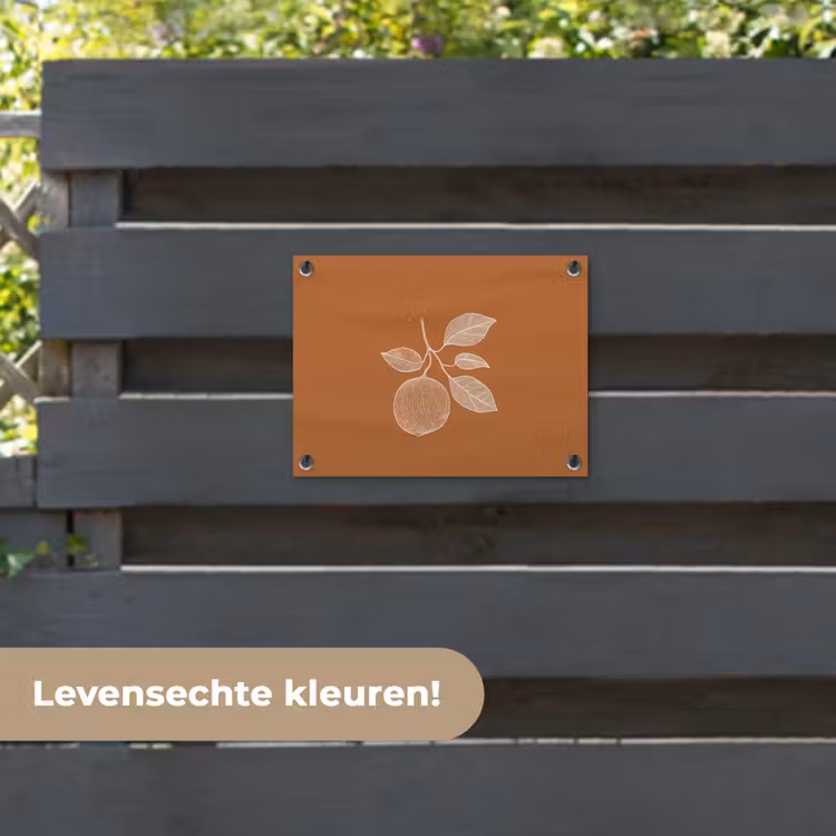 Tuinposter - Sinaasappel - Getekend - Bladeren - Bruin — 6