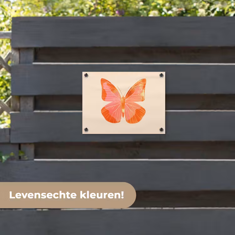 Tuinposter - Vlinder - Minimalistisch - Roze — 6