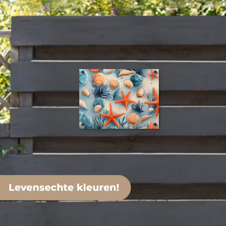 Tuinposter - Zeesterren - Schelpen - Illustratie - Zand — 6