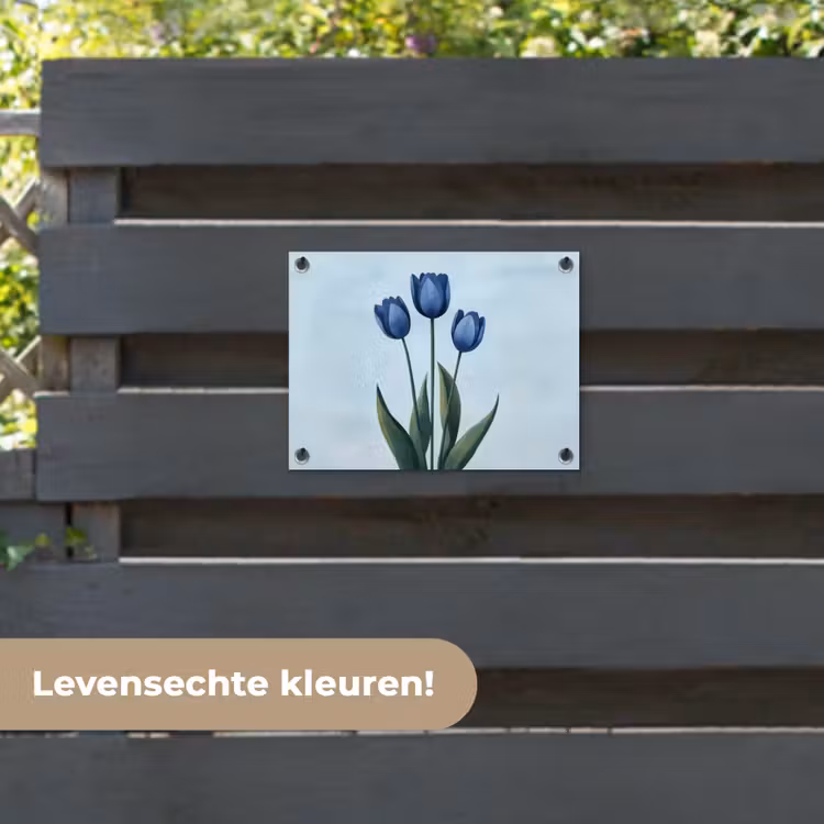 Tuinposter - Tulpen - Blauw - Bladeren — 6