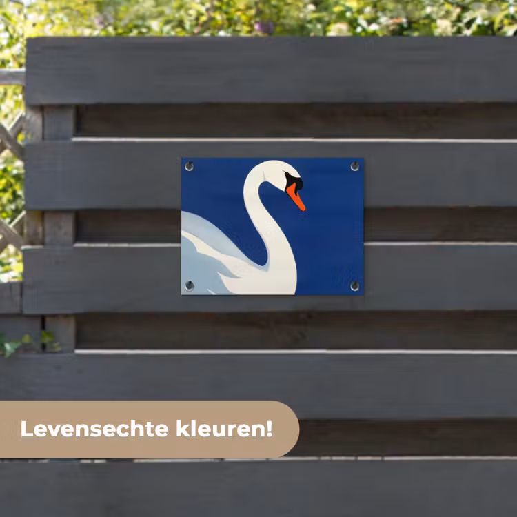 Tuinposter - Zwaan - Wit - Snavel - Illustratie — 6