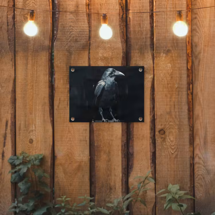 Tuinposter - Raaf - Vogels - Zwart — 3