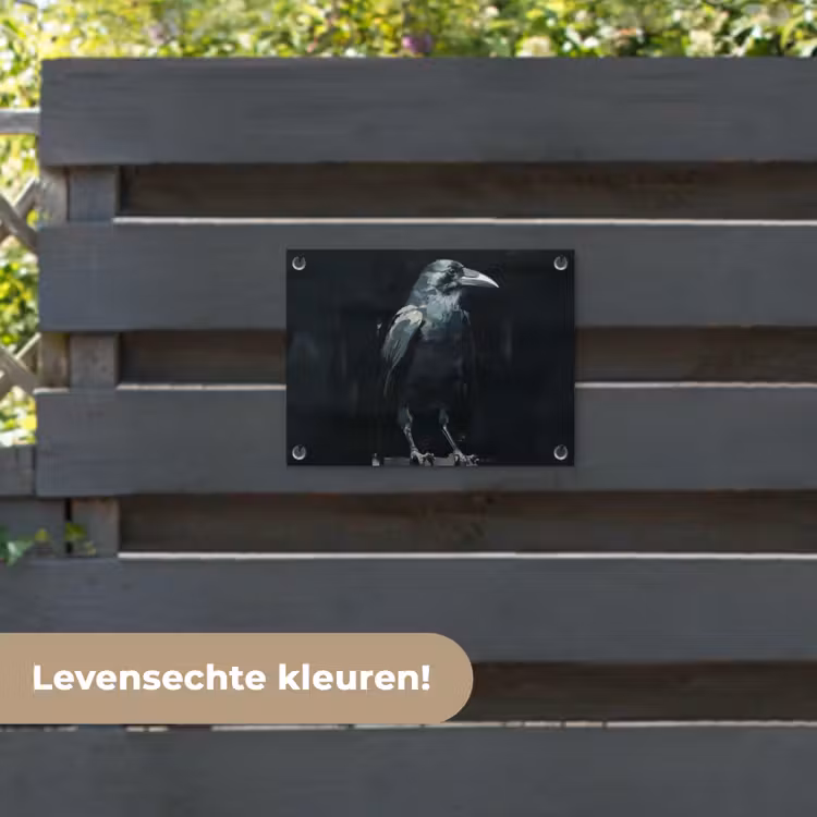 Tuinposter - Raaf - Vogels - Zwart — 6