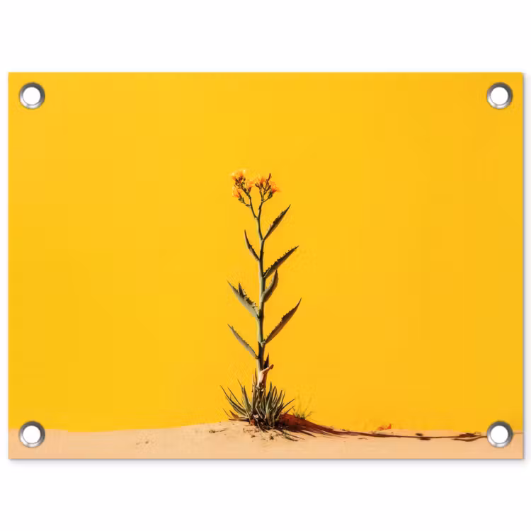 Tuinposter - Zand - Plant - Geel - Minimalitisch — 1