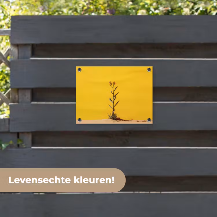 Tuinposter - Zand - Plant - Geel - Minimalitisch — 6