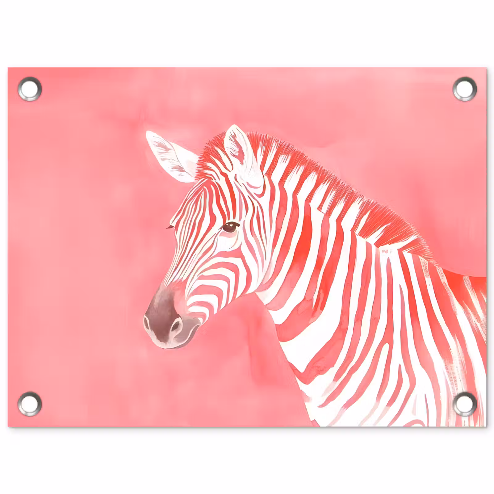 Tuinposter - Zebra - Pink - Verf — 1