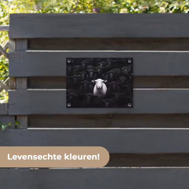 Tuinposter - Schapen - Wit - Duisternis — 6