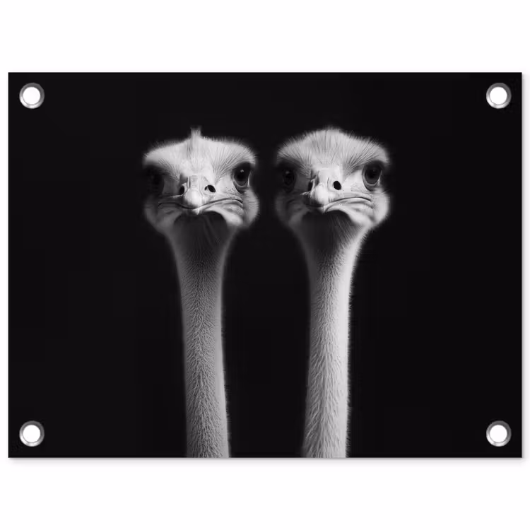 Tuinposter - Struisvogels - Halzen - Zwart - Minimalistisch — 1