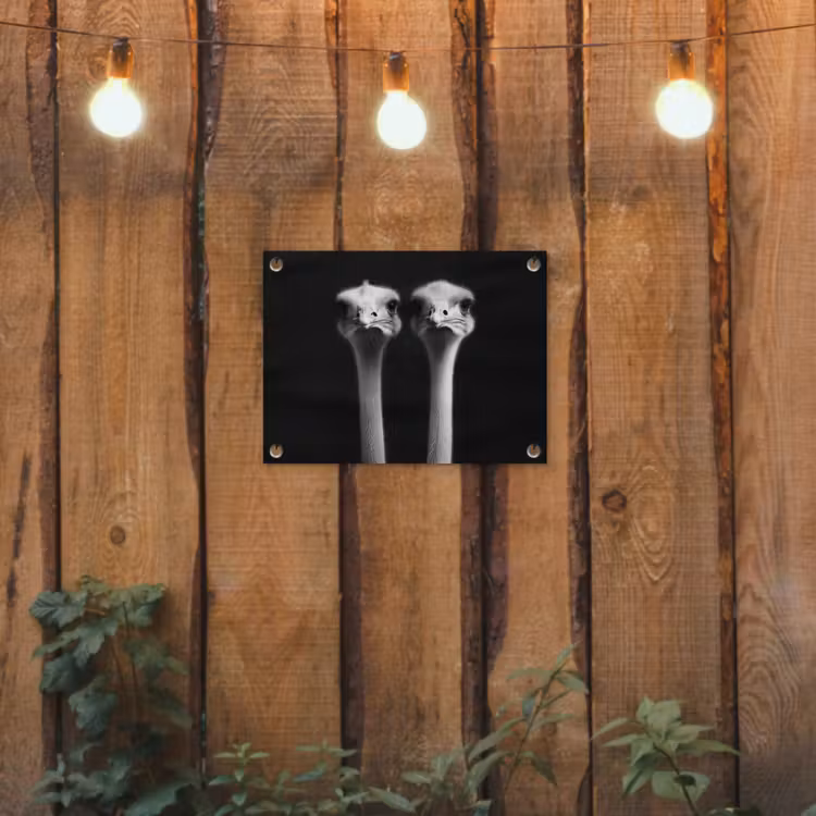 Tuinposter - Struisvogels - Halzen - Zwart - Minimalistisch — 3