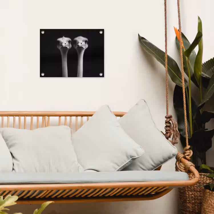 Tuinposter - Struisvogels - Halzen - Zwart - Minimalistisch — 4